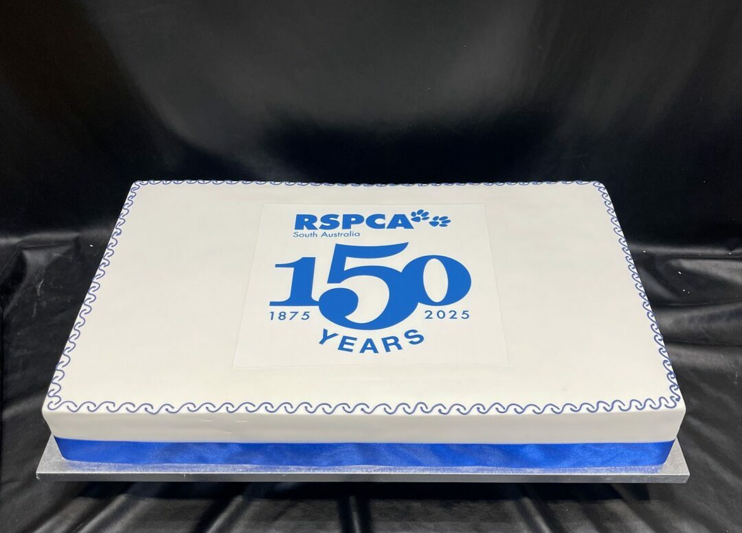 corporate slab rspca